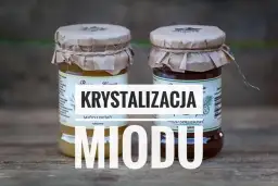 Jak długo krystalizuje się miód lipowy i co warto wiedzieć?