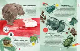 Zwierzęta nocy - fascynująca powieść Austina Wrighta o mrocznej stronie życia