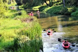 Drzewica: kajakarstwo górskie i spływy Drzewiczką odkryj ją!