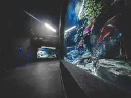 Gdynia atrakcje oceanarium – odkryj fascynujące morskie ekosystemy