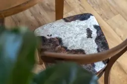 Jak zmienić tapicerkę na krzesłach i zaoszczędzić na kosztach