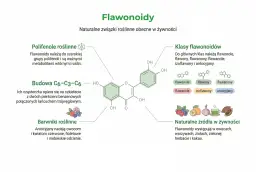 Bioflawonoidy co to? To naturalne związki roślinne, występujące w owocach, warzywach, ziołach, herbacie i kakao.