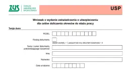 Dokumentacja umowy zlecenia: Uniknij błędów i kar ZUS!