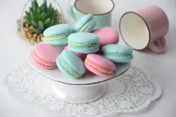 Kolorowe makaroniki na talerzyku, obok filiżanki i sukulent.