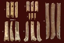 Fragmenty starożytnych instrumentów dętych wykonanych z kości.