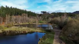 Atrakcyjne działki nad jeziorem dolnośląskie – inwestycje i rekreacja