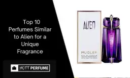 Alien Duftalternativen finden: Die besten Dupes & ähnliche Düfte