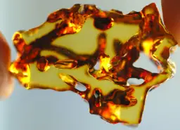 Jak znaleźć bursztyn nad Bałtykiem: najlepsze miejsca i porady na sukces