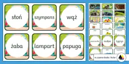 Nauka rozpoznawania programów TV: dopasuj nazwy do opisów