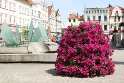 Kwietnik kaskadowy jak zrobić - proste kroki do pięknej aranżacji