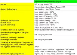 Czy towarzystwo funduszy inwestycyjnych może stworzyć IKE i co warto wiedzieć?