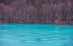 Rezerwat przyrody Niebieskie Źródła – informacje, które musisz znać