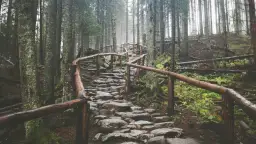 Kamienna ścieżka pod reglami, wijąca się wśród mglistego lasu. Drewniane poręcze prowadzą w górę, wśród omszałych drzew i powalonych pni.