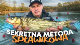 Wędkarstwo spławikowe: Twój przewodnik krok po kroku do pierwszej ryby!