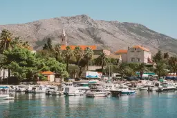 Port z łodziami i palmami na tle gór i miasta z kościołem.