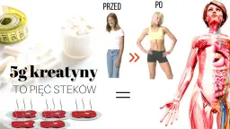 Czy brać kreatynę w dni bez treningu? Oto, co musisz wiedzieć