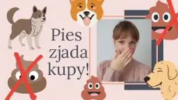 Dlaczego szczeniak zjada swoje odchody i co z tym zrobić, aby pomóc?