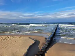 Pociągiem nad morze! Piękny dzień, fale rozbijają się o brzeg, a mewy szybują na błękitnym niebie.