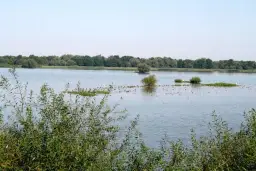 Niezapomniane atrakcje Jeziora Goczałkowickiego, które musisz zobaczyć