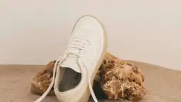 Zapatos Barefoot Mujer: Transforma tu Pisada y Elige el Mejor