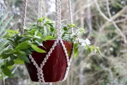 Jak zrobić wiszący kwietnik ze sznurka? Poradnik DIY dla każdego