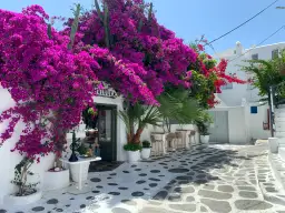 Najlepsze atrakcje na Mykonos, które musisz zobaczyć podczas wizyty