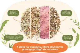 Czym odrobaczać psa? Skuteczne metody i naturalne alternatywy