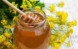 Miód rzepakowy na co pomaga? Właściwości, zastosowanie i przeciwwskazania