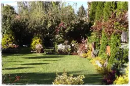 Twój sad marzeń: jak rozplanować drzewa owocowe krok po kroku?