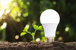 Nowa żarówka LED o mocy 850 lumenów ile to wat? Mała roślinka rośnie obok, symbolizując ekologiczne oświetlenie.