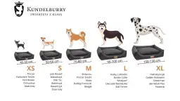 Jaki rozmiar legowiska dla psa? Uniknij błędów przy wyborze!