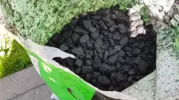 Ekogroszek PGG: Jakie są zalety i wady tego opału w sezonie grzewczym?