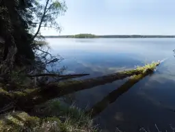 Jezioro Koprowo: raj dla wędkarzy i miłośników aktywnego wypoczynku