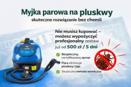 Myjka parowa na pluskwy: Jaką wybrać i jak skutecznie użyć?