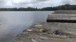 Jezioro Małszewskie: piękne miejsce na wędkowanie i relaks w naturze