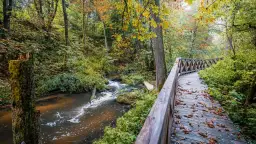 Rezerwat przyrody Czartowe Pole: historia, atrakcje i unikalna przyroda