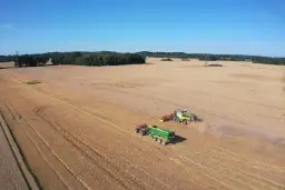 Gospodarstwa rolne w Polsce: Jakie są największe i najbardziej znane farmy?