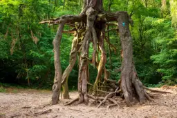 Atrakcje Buska-Zdroju, które zaskoczą każdego turystę