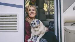 Pies w autokarze? FlixBus (dawny Polski Bus) i PKS: co musisz wiedzieć