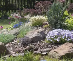 Jak zrobić mały skalniak? Proste kroki do pięknego ogrodu