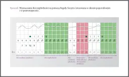 Owulacja: 12-24h. Jak rozpoznać dni płodne i sygnały ciała?