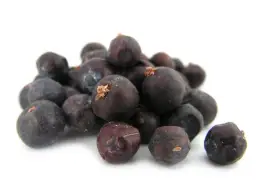 Gdzie kupić jałowiec przyprawa? Sprawdzone sklepy i oferty