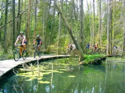Biebrzański Park Narodowy: najlepsze trasy rowerowe i ich atrakcje