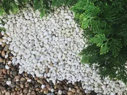 Jak wysypać żwir w ogrodzie, aby uniknąć typowych błędów?