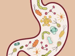 Skutki uboczne odrobaczania – co warto wiedzieć o zagrożeniach dla zdrowia