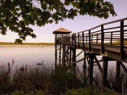 Rezerwaty przyrody na Śląsku – gdzie warto pojechać i co zobaczysz?