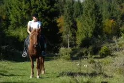 Stadnina Koni Rajd w Jaworkach - idealne miejsce na jazdę konną