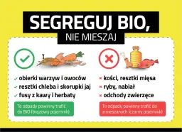 Gdzie wyrzucać resztki jedzenia? Obierki warzyw, fusy kawy i herbaty do BIO. Kości, ryby i mięso do zmieszanych.