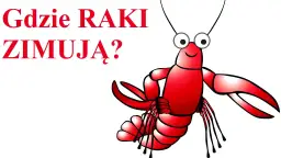 Gdzie raki zimują? Sekrety ich zimowania i naturalne środowisko życia