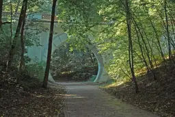 Rezerwat przyrody Las Natoliński - tajemnice, historia i przyroda